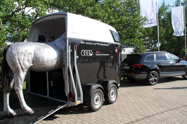 Audi-Ascot   135.jpg